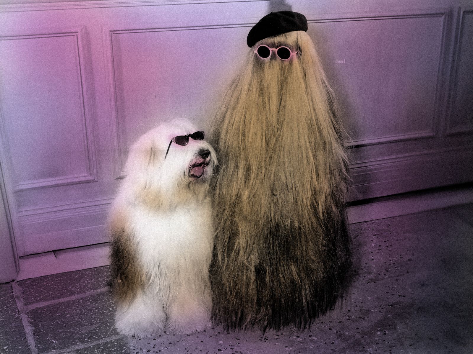 How to Grow Your Hair Faster