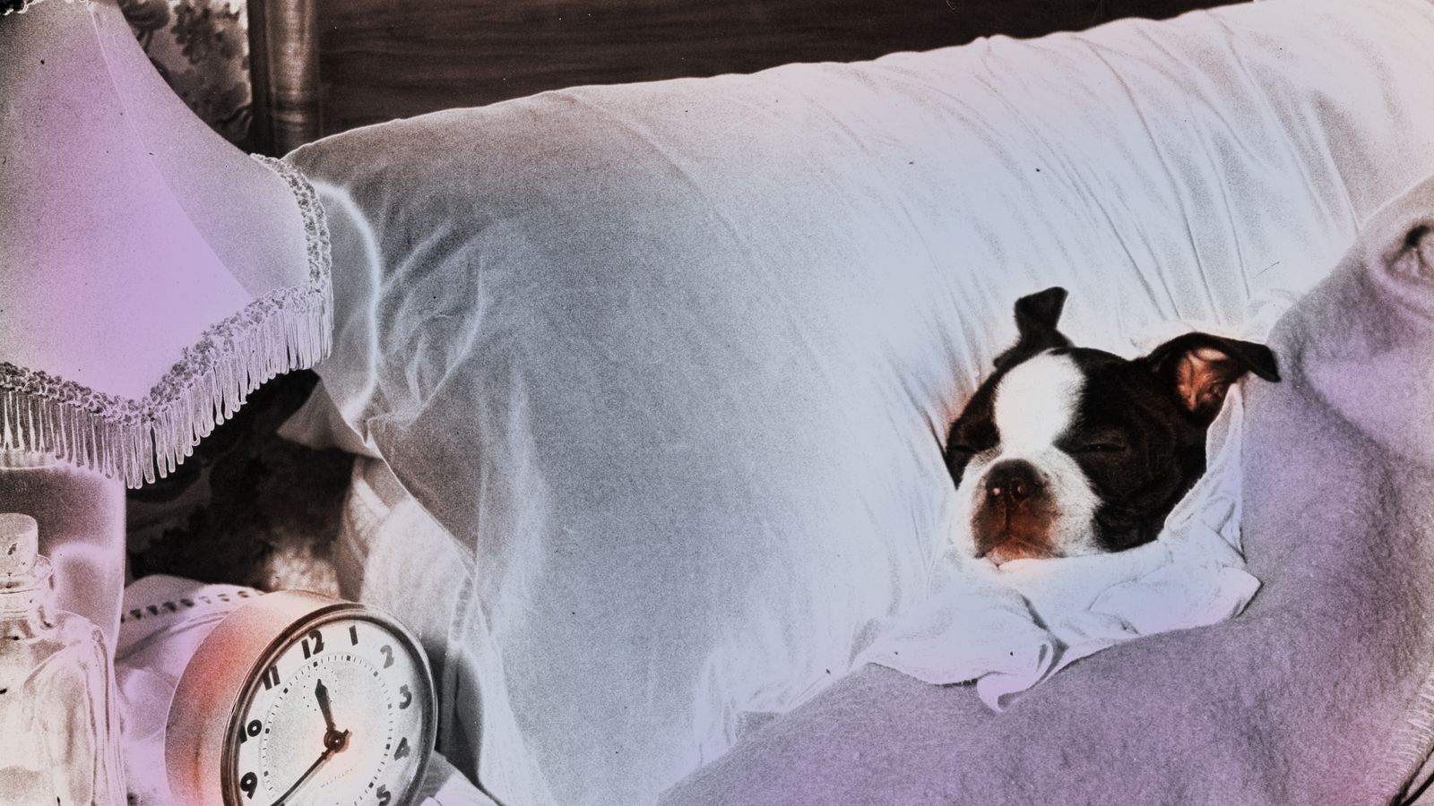 Insomnia Tips: How to Stop Waking Up in the Middle of the Night