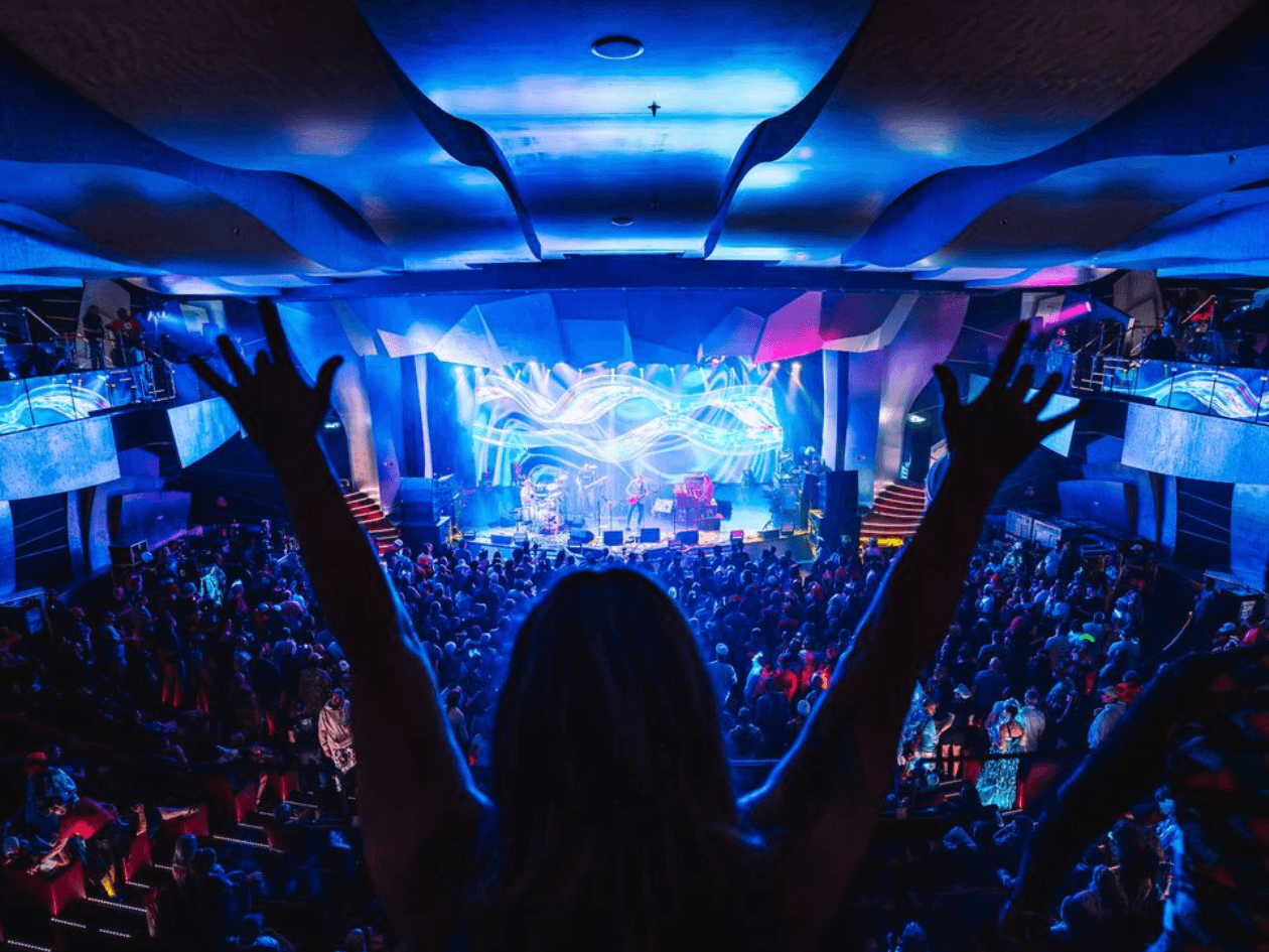 Jam Cruise Is a Five-Day Escape From the Harsh Realities of a Troubled World. But Should It Be?