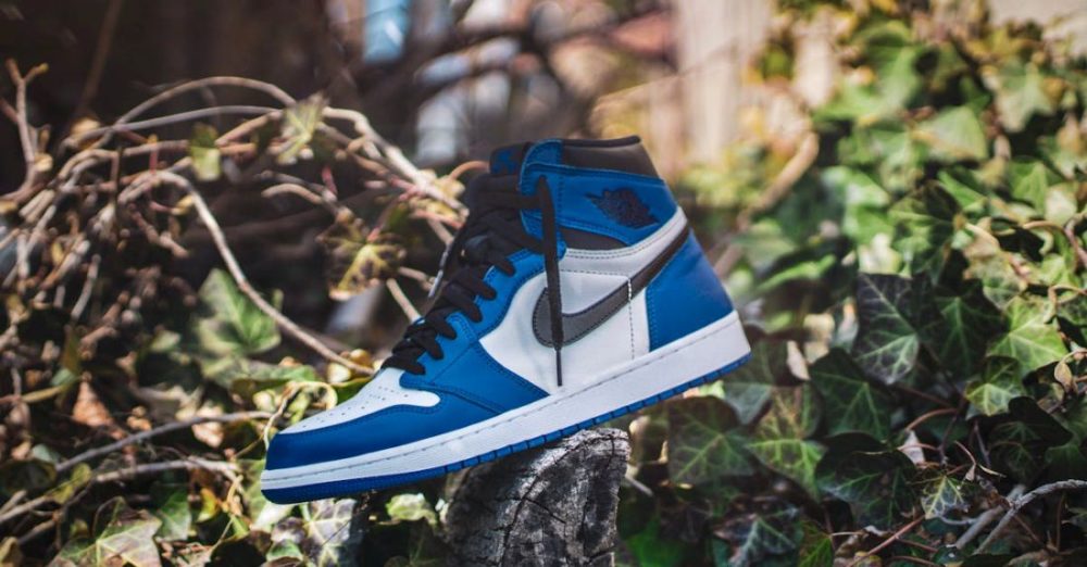 Sneakers - Blue and White Air Jordan 1 on Gray Wood Log at Daytime