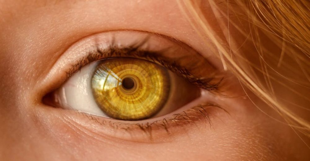 Look - Close Up of Human Eye